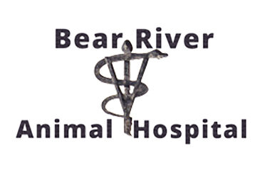 Bear River Animal Hospital