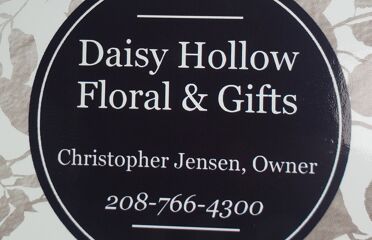 Daisy Hollow Floral